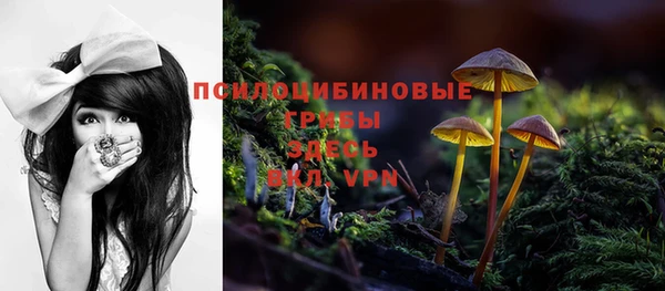 МДПВ Тихвин